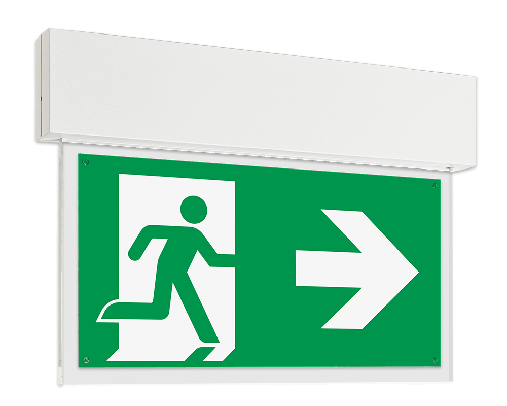 b0e2de7017a9f2692c5a817f29d5f367ae8fd7ce28ecaa14ed298ee322369e49