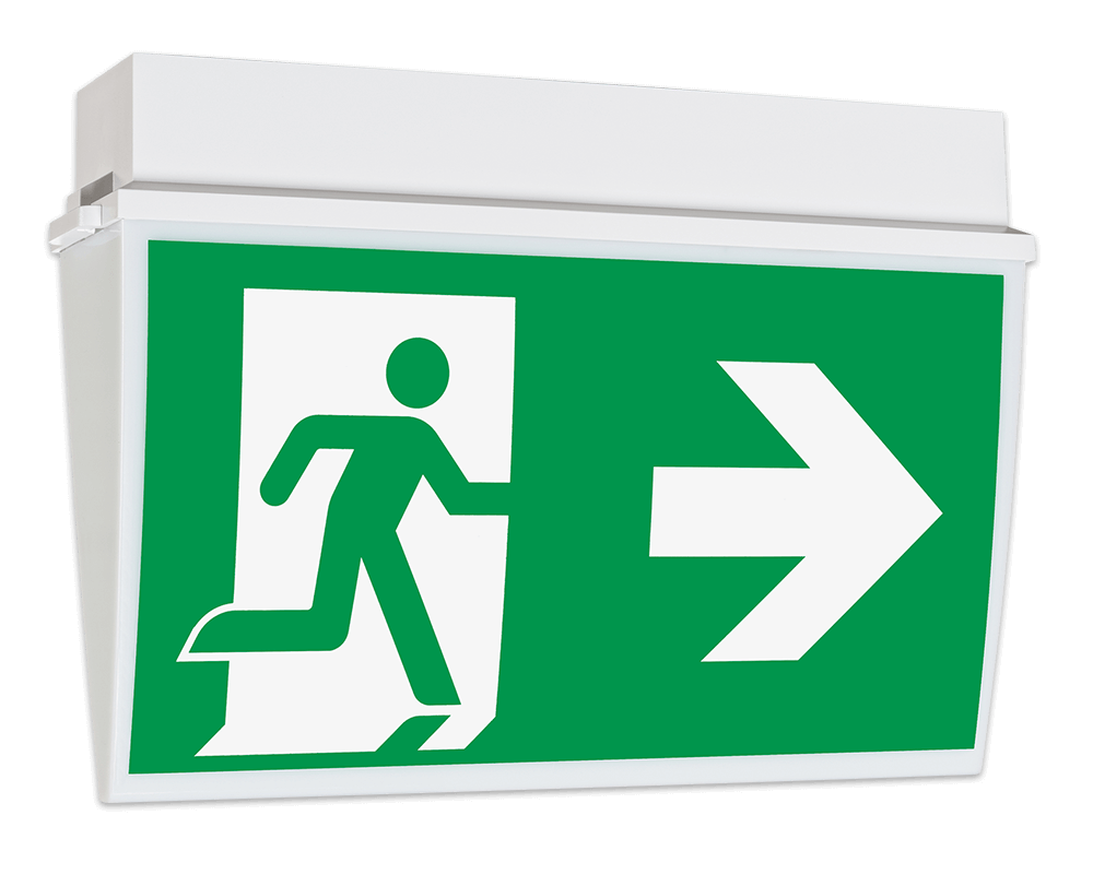 6259f11c735cb7f01eece4799914cc3519a81dd4041a5f275b2752308efbf104